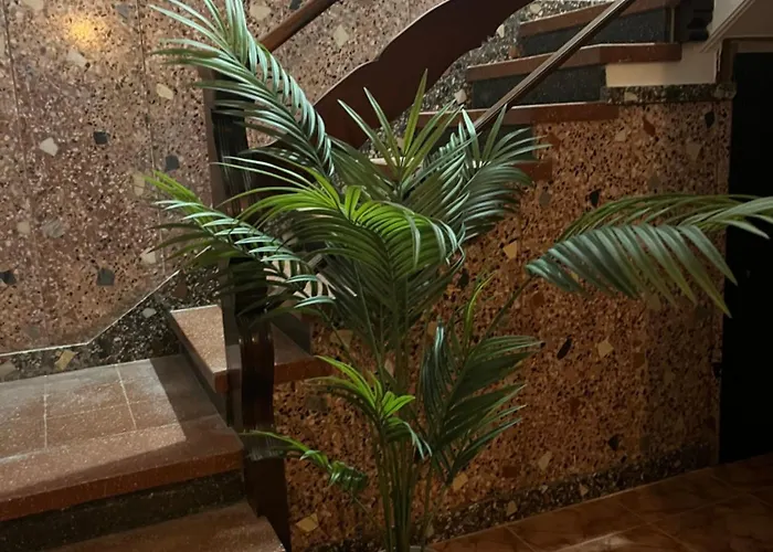 Sunny Paraiso Canario Las Palmas de Gran Canaria